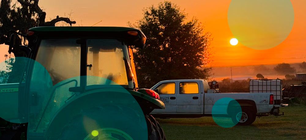 Florida farm manager admits $3.25 mn crop insurance fraud