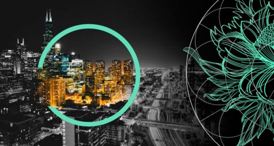 Reinsurers Shift Capital to L&H as Softer P&C Market Pressures Returns