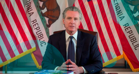 Gov. Gavin Newsom vetoes two California wildfire insurance bills