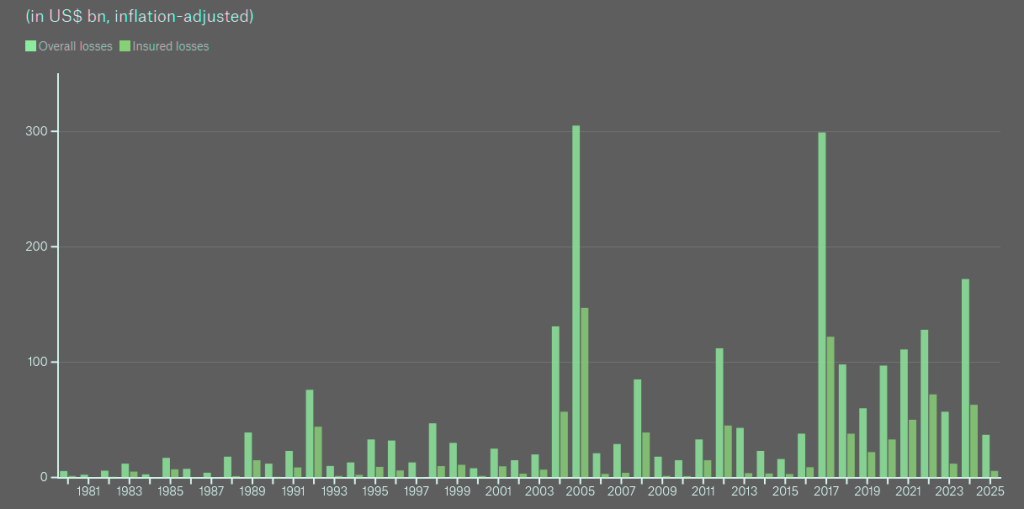 Global losses from tropical cyclones 1980-2025