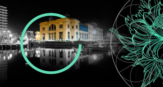Bermuda Reinsurers Reported Stronger Underwriting Profitability in 2026