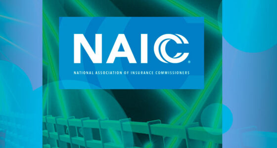 NAIC strengthens oversight of insurers' private credit risks