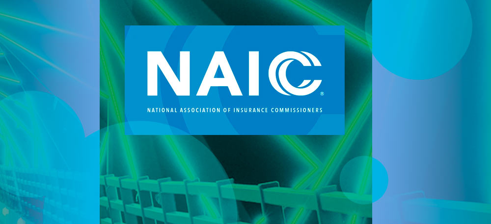 NAIC strengthens oversight of insurers' private credit risks