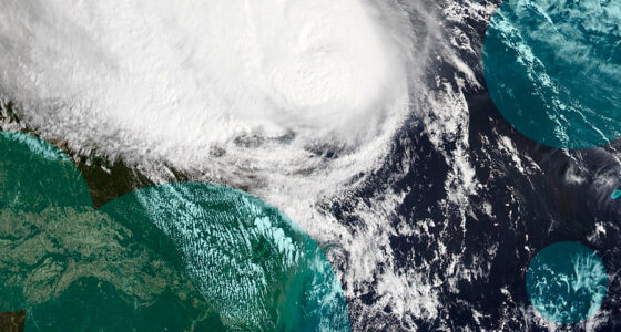 Hurricane Isaias triggers 46,500 insurance claims and $582 mn in Florida