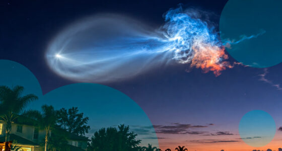 Photos: 'Space Jellyfish' created by SpaceX rocket launch