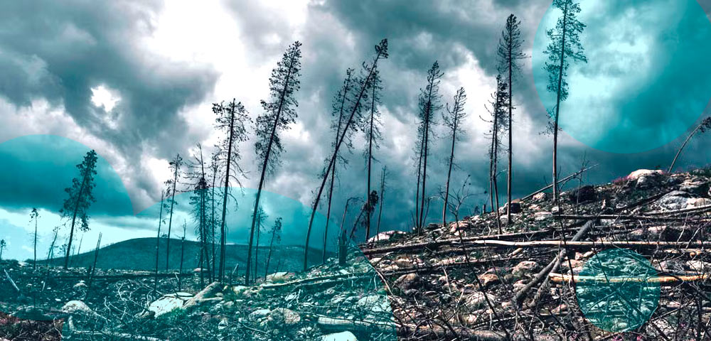 Insurers expected to increase premiums and restrict climate risk coverage