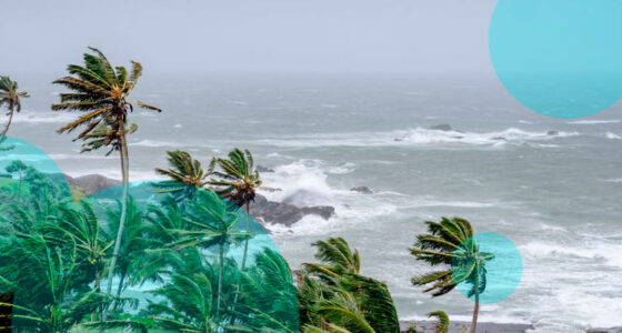 Florida emergency declared as Tropical Storm Isaias strengthens