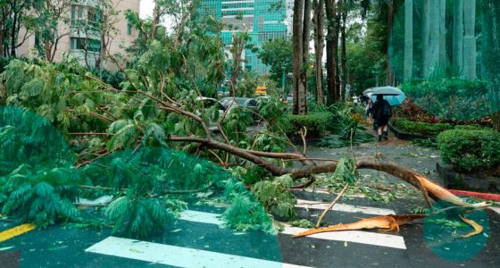 Typhoon Champi shuts down Taiwan as winds reach 191 kph