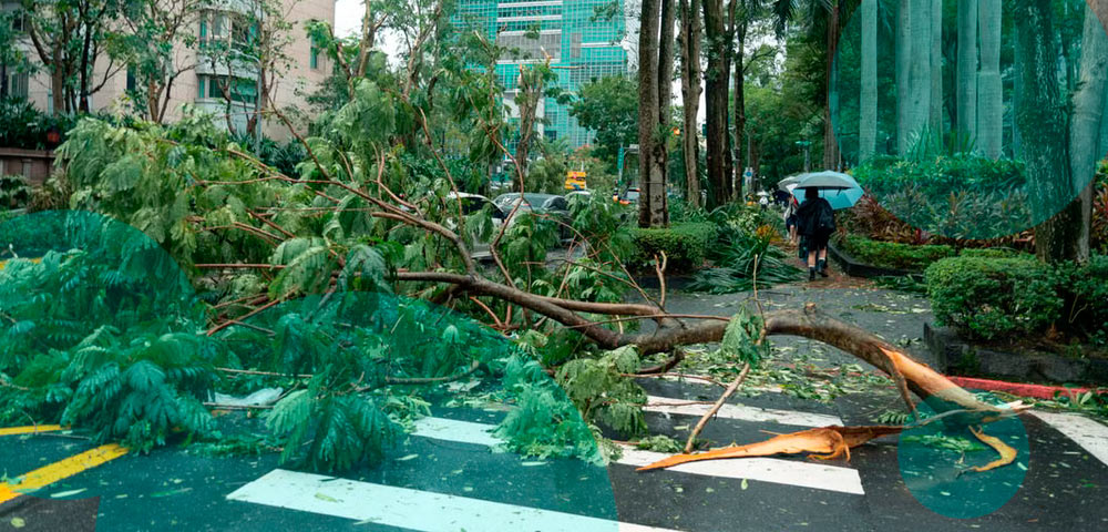 Typhoon Champi shuts down Taiwan as winds reach 191 kph