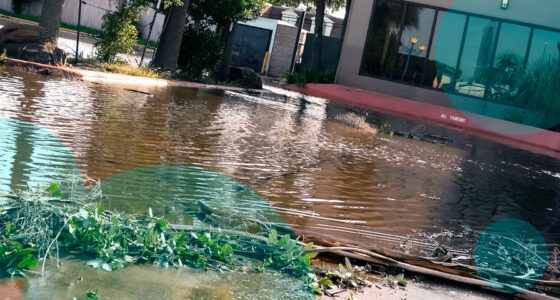 California flood insurance demand rises ahead of El Niño winter: $8 bn P&C loss