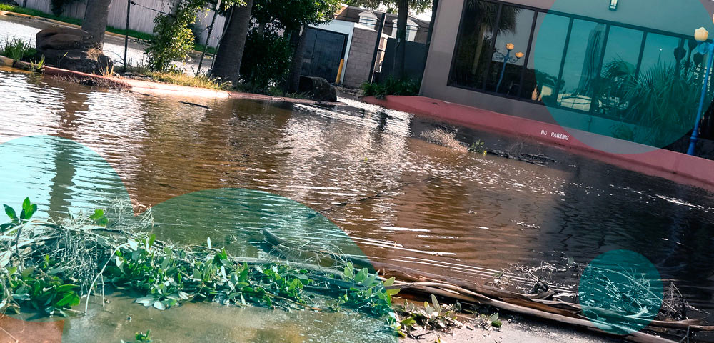 California flood insurance demand rises ahead of El Niño winter: $8 bn P&C loss