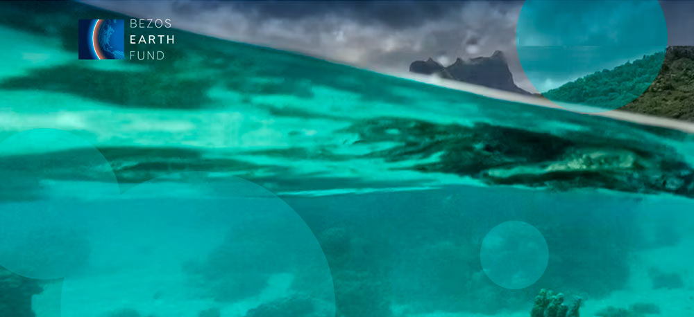 Jeff Bezos' Earth Fund adds $25 mn to Pacific ocean conservation effort